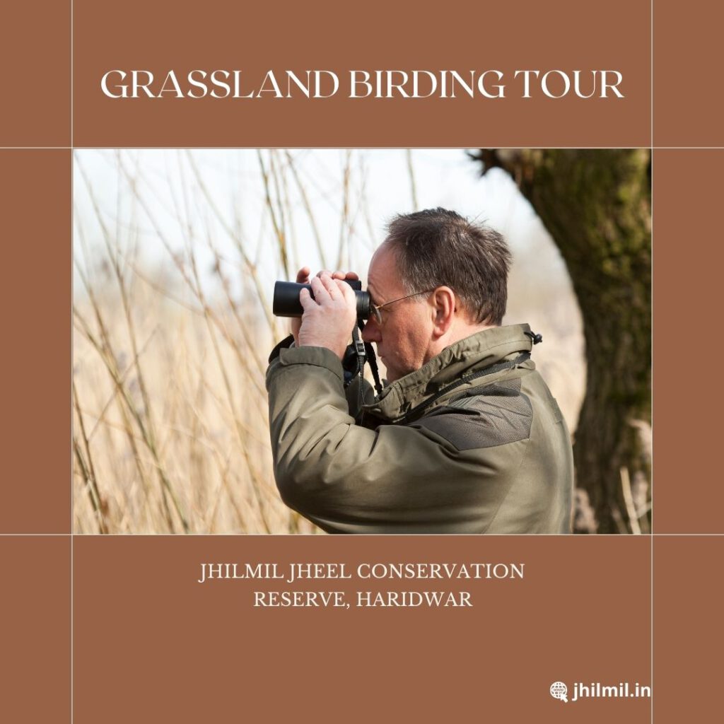 Grassland Bird Watching Tour