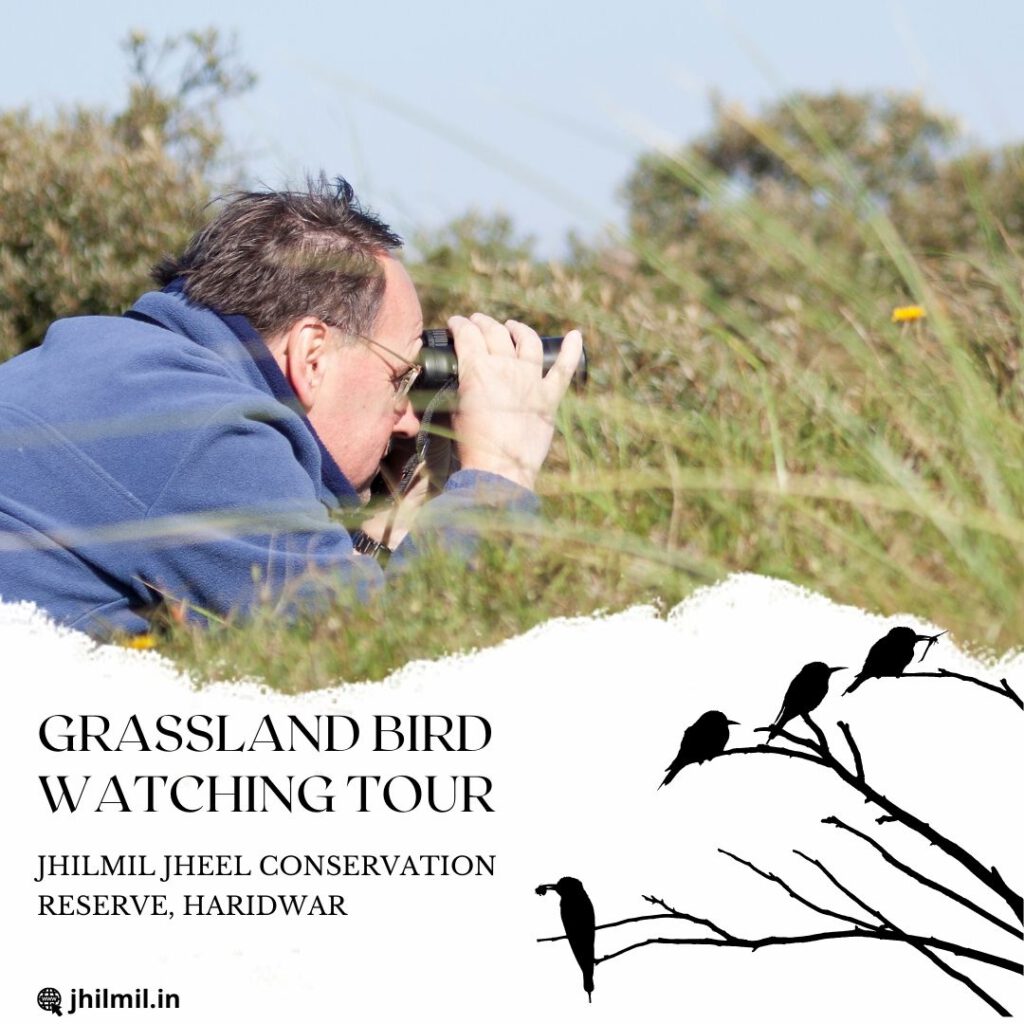 Grassland Bird Watching Tour