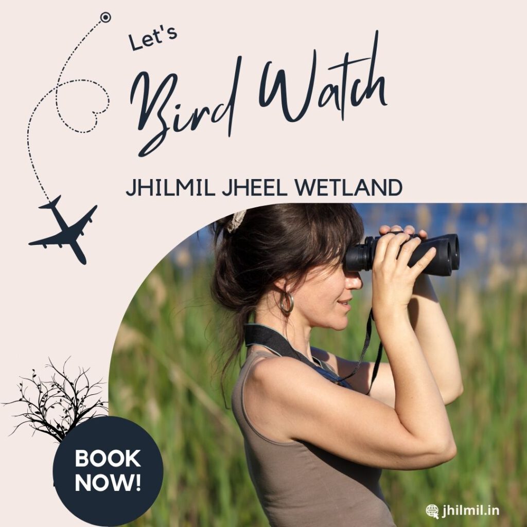 Wetland Bird Watching